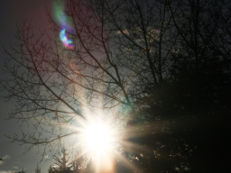 Eclipse Parcial Sol 11-07-2010